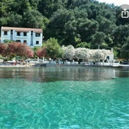 Nuovo 1 *