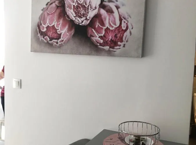 Nuovo 1 *